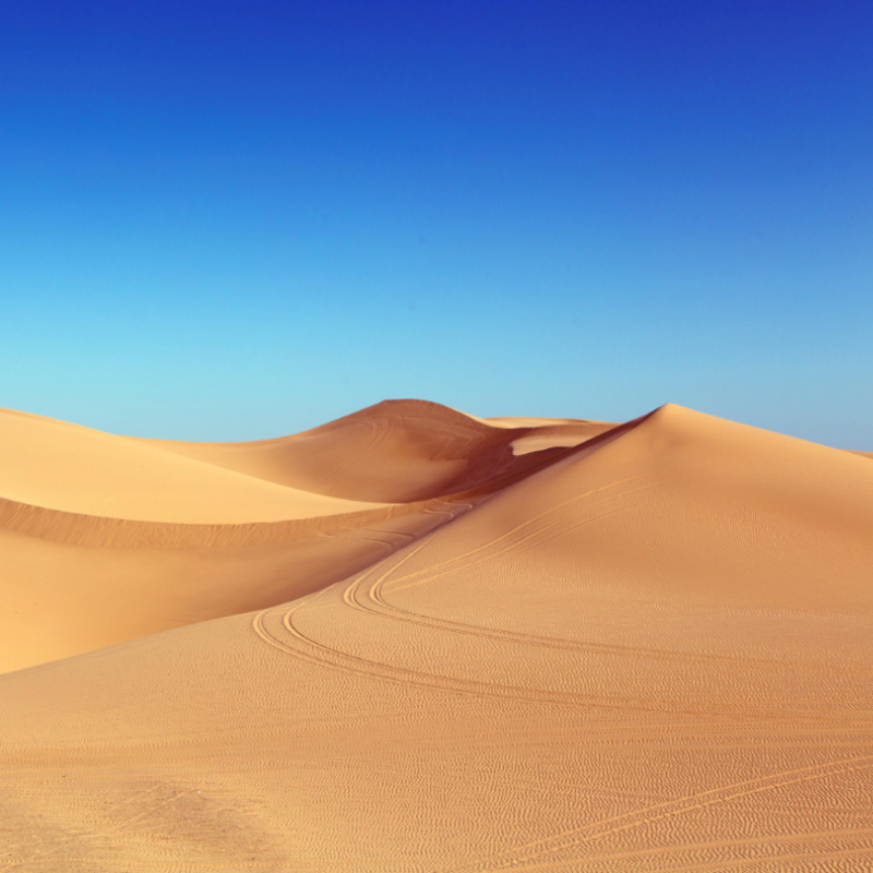 Sand dunes